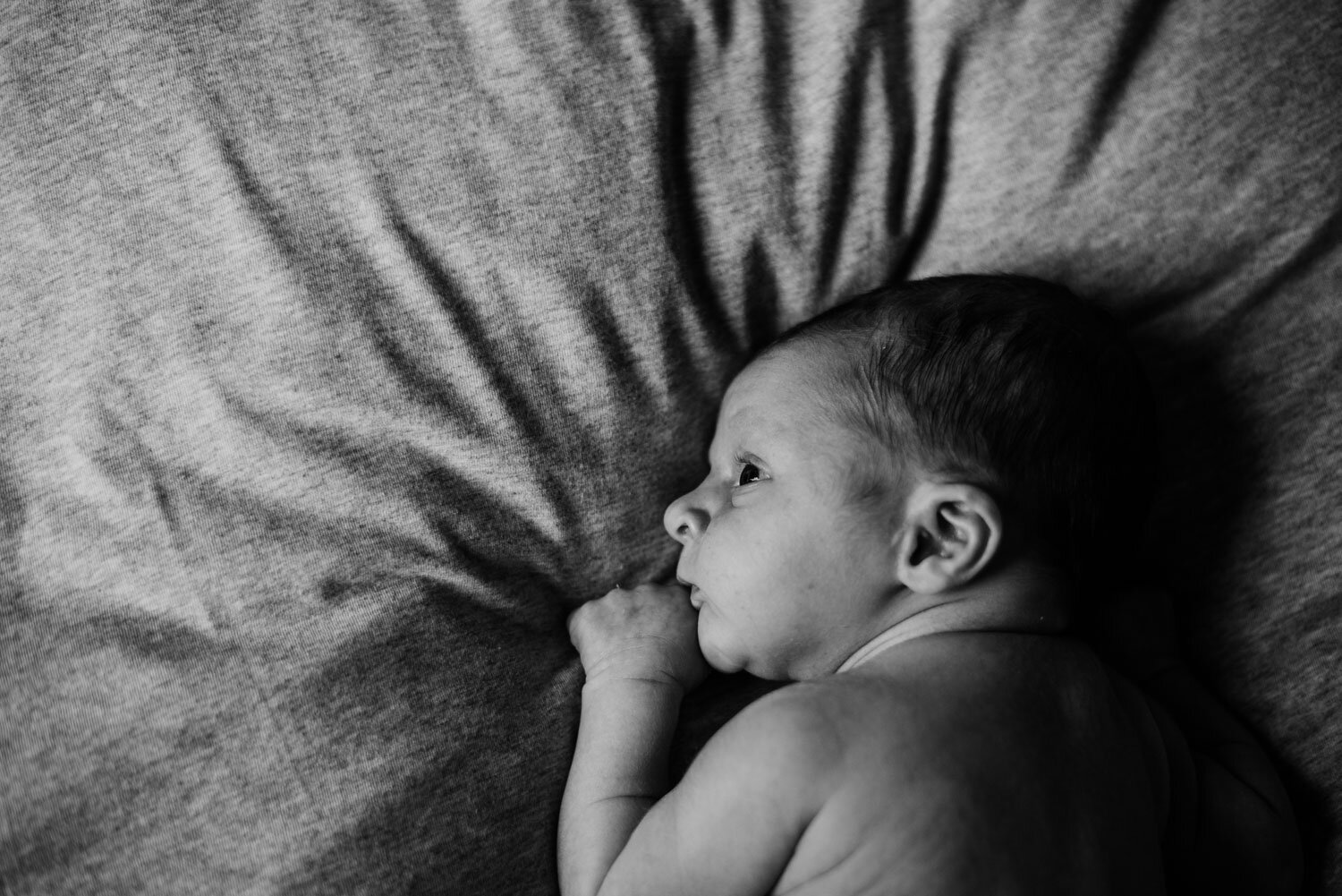 Lorraine Maguire Photography Newborn portrait