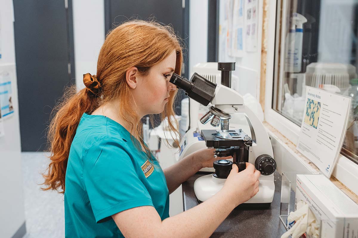 veterinary nurse with red hair examining slides under microscope in lab